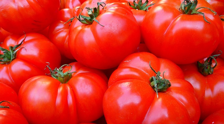 smaczne i zdrowe pomidory
